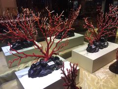 -绮丽珊瑚博物馆(台东店)
