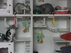 -萌兽医馆·眼科·异宠专科(三里屯店)