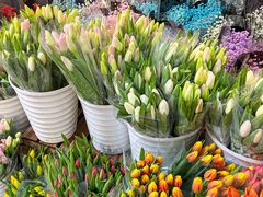 -循礼门鲜花花市(武汉循礼门店)