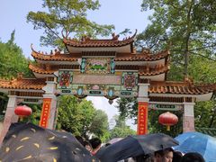 -广州市流溪河国家森林公园