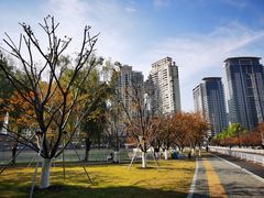-西北湖绿化广场