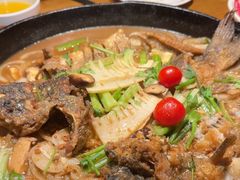 -老板恋上鱼(高新万达店)