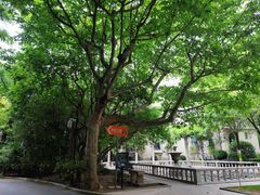 -上海市第三女子中学