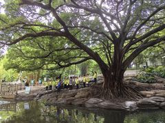 -晓港公园