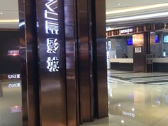 -UME影城(中国巨幕高新店)
