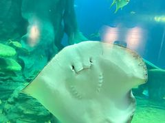 -龙谷湾旅游休闲度假区