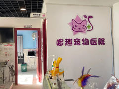 -哆趣宠物医院·眼科·内镜·急重症转诊中心(上海店)
