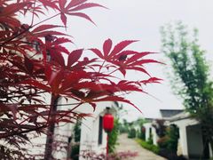 -宁波九龙湖开元度假村