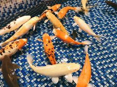 -盆满钵满·国家非遗传承(云台店)