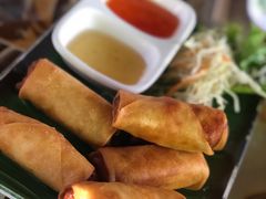 炸春卷-Jungle Kitchen