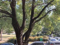 -一澜江宴·江景地标楚菜(江滩公园店)