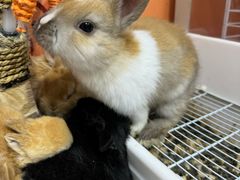 -三旗百汇商品城