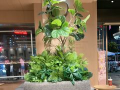 -霸王茶姬(五一路店)