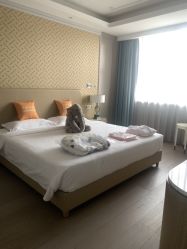 -杭州医学院附属妇儿医院