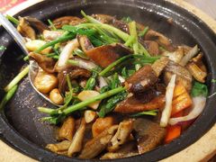 -茂业天地(华强北店)