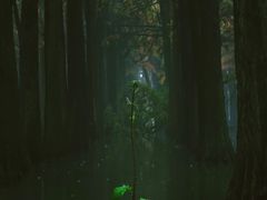 -泰州站