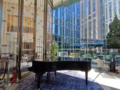 -茶源Fountain Lounge大堂吧·北京东方君悦大酒店