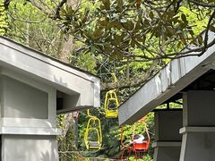 -WeLope紫金山探险公园