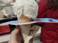 -野人先生现做冰淇淋(西安赛格店)