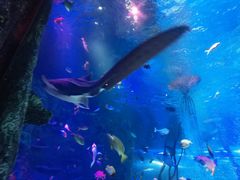 -沈阳海洋探索中心