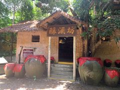 -海南槟榔谷黎苗文化旅游区