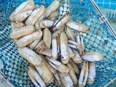 -庆山饭店·海鲜饺子家常菜(北戴河黑石路店)