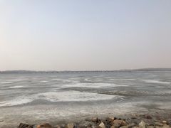 -丁香湖公园