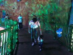 -青岛嘉年华主题乐园