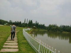 -秀丽东方