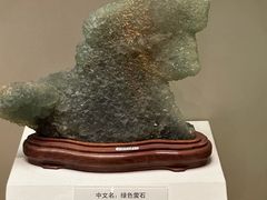 -天津自然博物馆