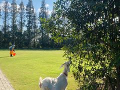 -前小桔亲子创意农场·草莓采摘·露营烧烤