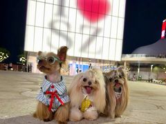 -深圳湾万象城(南山店)