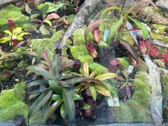 -国家植物园南园