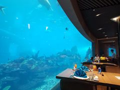 -海棠湾洲际-涛·海底餐厅·美人鱼·自助餐·海底隧道