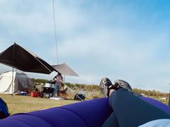 -春花秋色城市公园