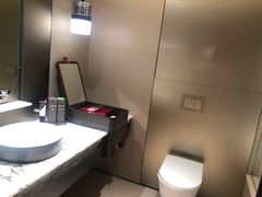 -新加坡瑞士史丹福酒店