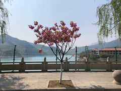 -黄花溪