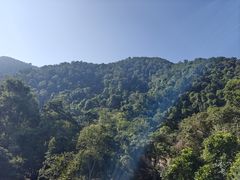 -野象谷景区