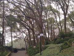 -忠山公园