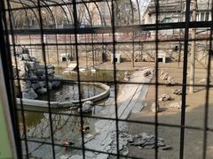 -保定市动物园