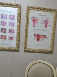 -合肥白领安琪儿妇产医院•妇幼保健