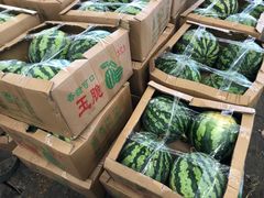 -菜园坝水果市场