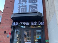 -琪喵猫屋·撸猫猫咖·猫舍