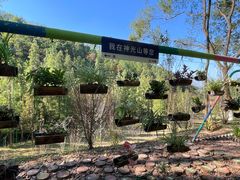 -神光山国家森林公园