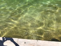 -柯尼希湖