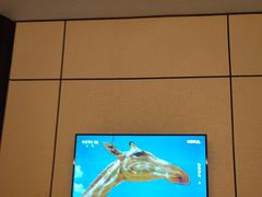 -见康道莱•足浴按摩•艾灸•SPA(友谊店)