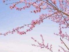 -北海公园
