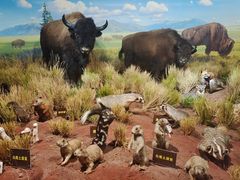 -陕西自然博物馆