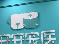 -安安宠医宠物医院·异宠·犬猫内科(岳阳分院)