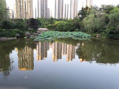 -龙头寺公园